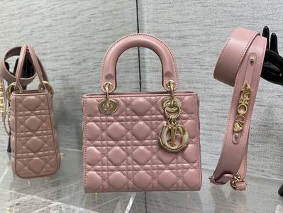 DIOR Handbags 1002